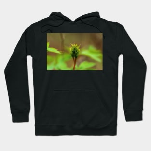 A new begining Hoodie